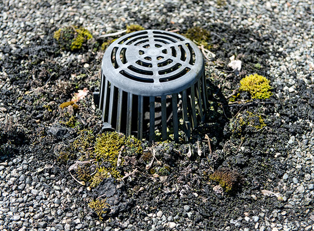 Roof Maintenance Tips Roof Drains