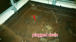 Plugged drain repair leak