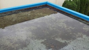 a roof system that is holding water