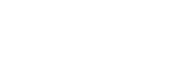 Detail Roofing White Logo